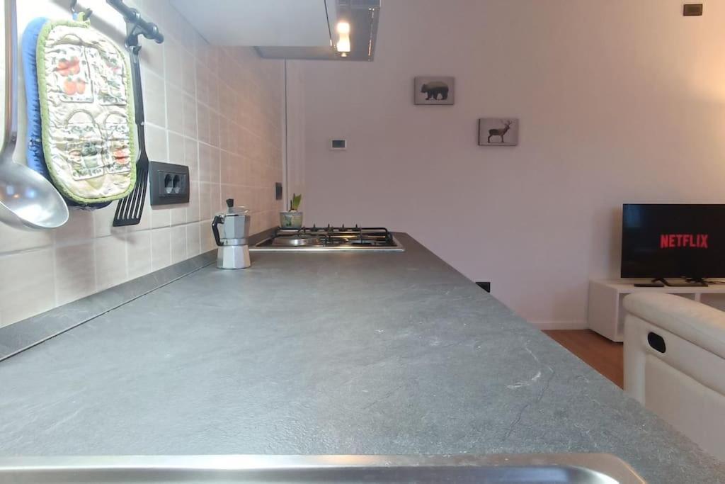 Vicino Zoncolan+Netflix E Wifi Apartment Treppo Carnico Luaran gambar
